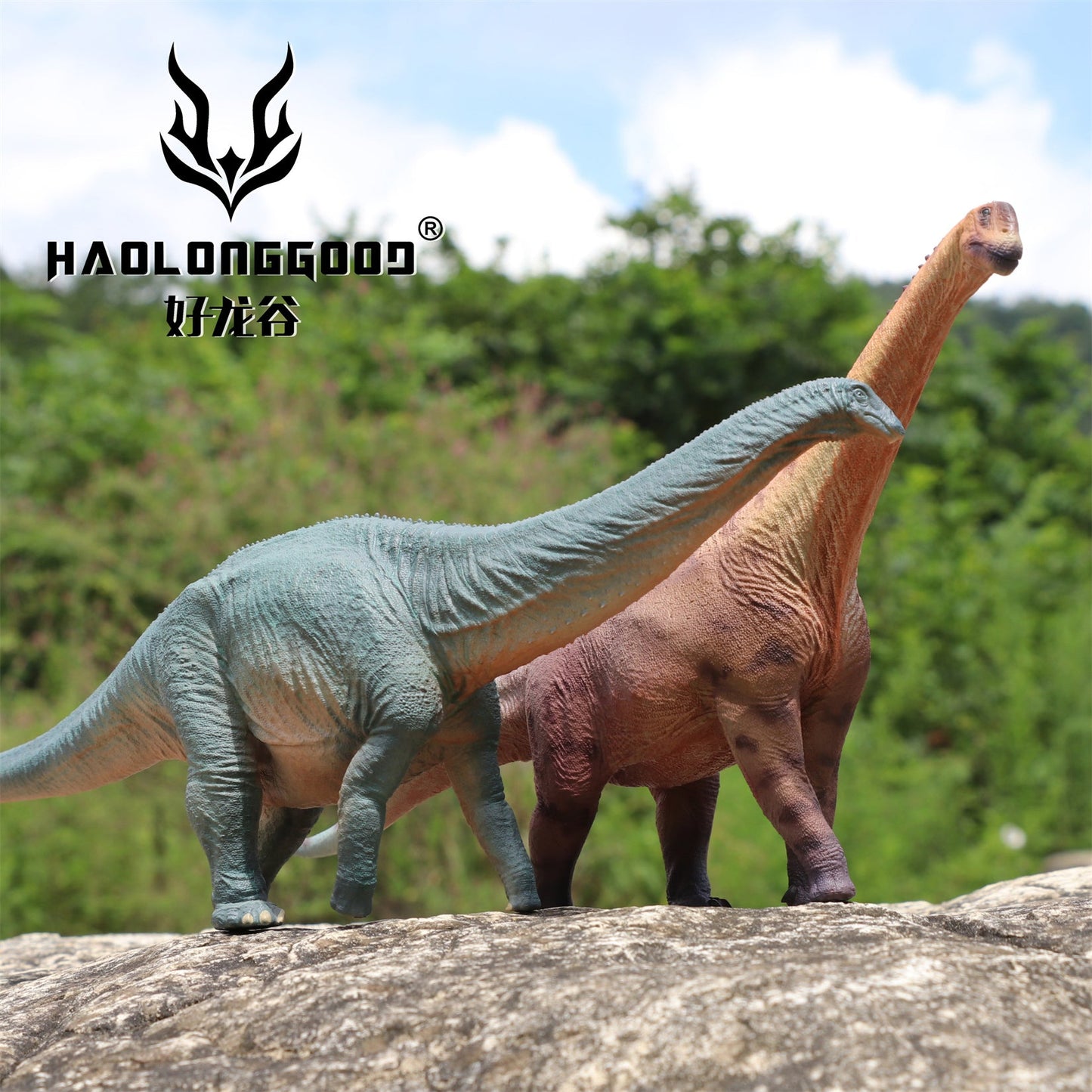 Haolonggood 1/35 Scale Camarasaurus Model