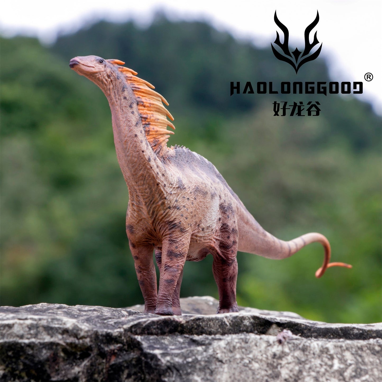 Haolonggood 1/35 Scale Amargasaurus Model