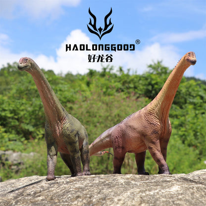 Haolonggood 1/35 Scale Camarasaurus Model