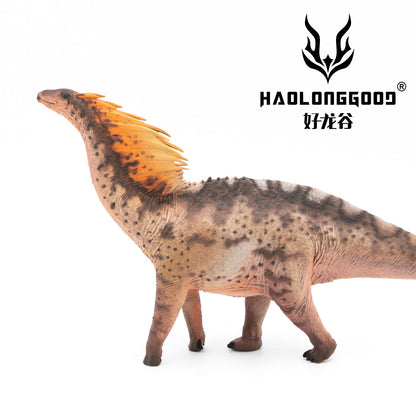 Haolonggood 1/35 Scale Amargasaurus Model