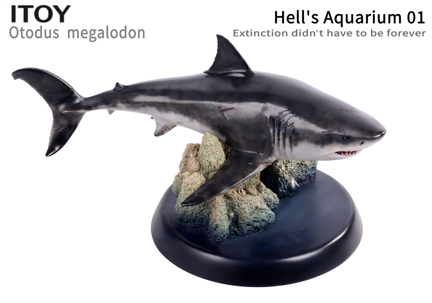 Itoy 1/35 scale otodus megalodon model