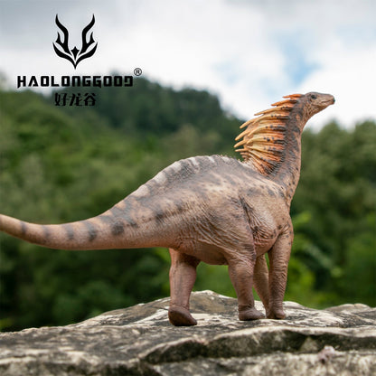 Haolonggood 1/35 Scale Amargasaurus Model