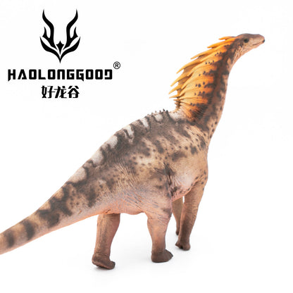 Haolonggood 1/35 Scale Amargasaurus Model