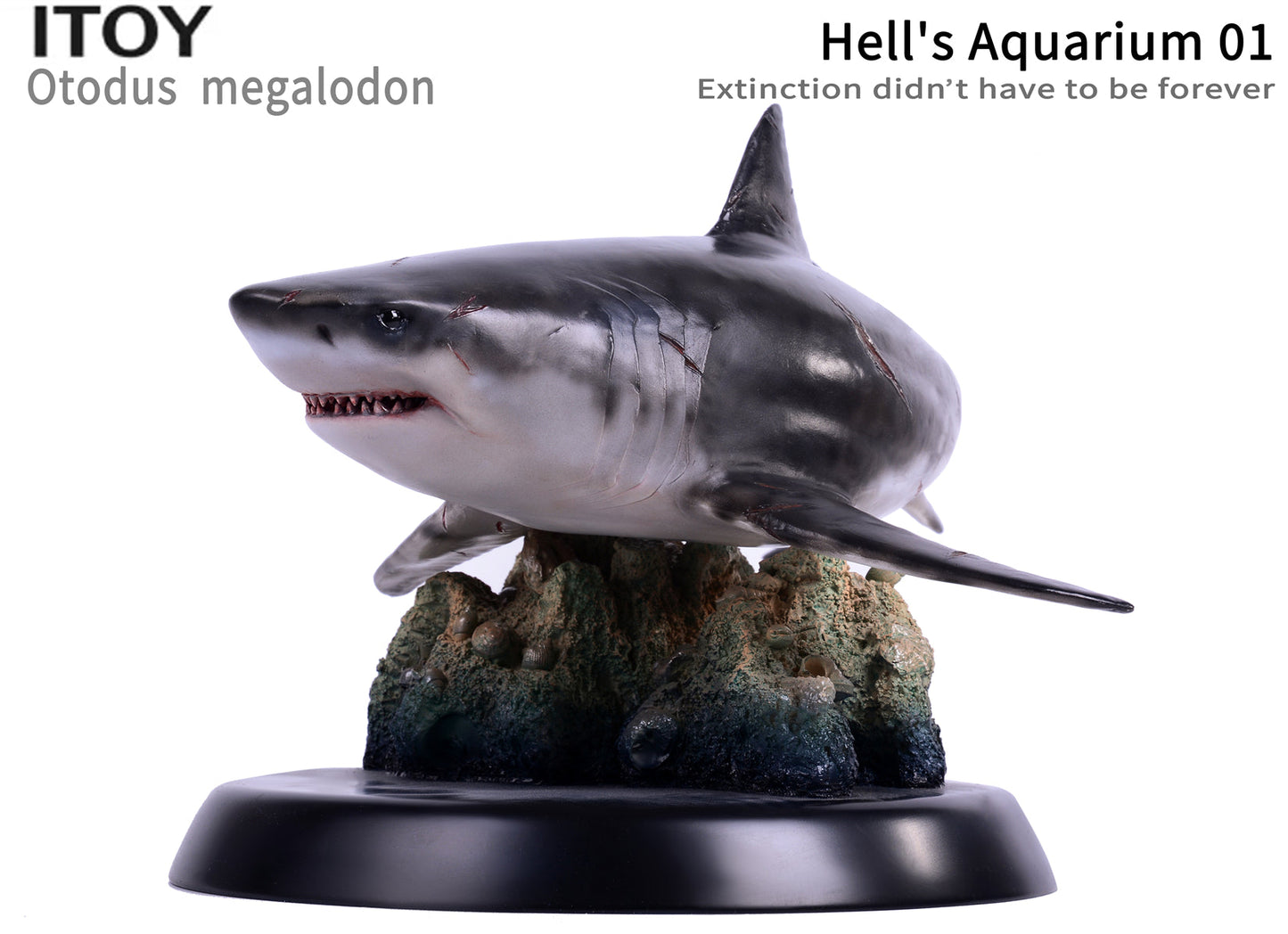 Itoy 1/35 scale otodus megalodon model