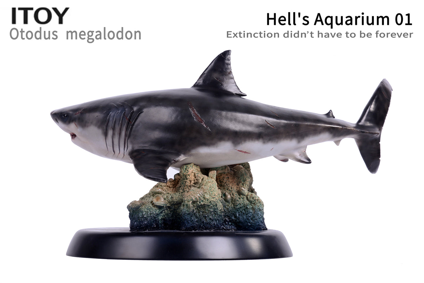 Itoy 1/35 scale otodus megalodon model