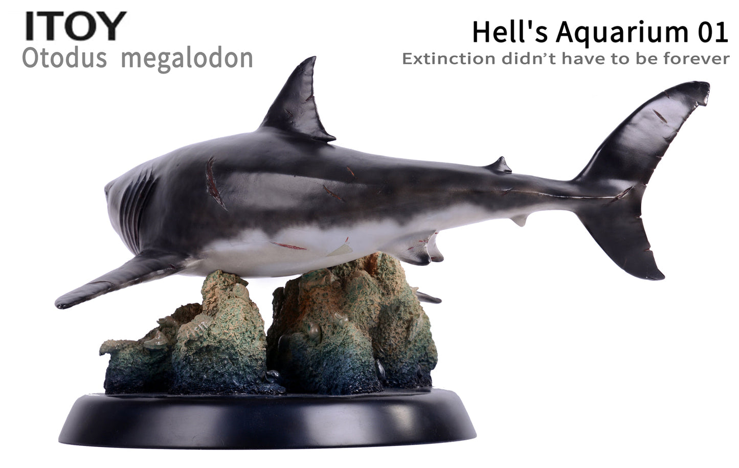 Itoy 1/35 scale otodus megalodon model