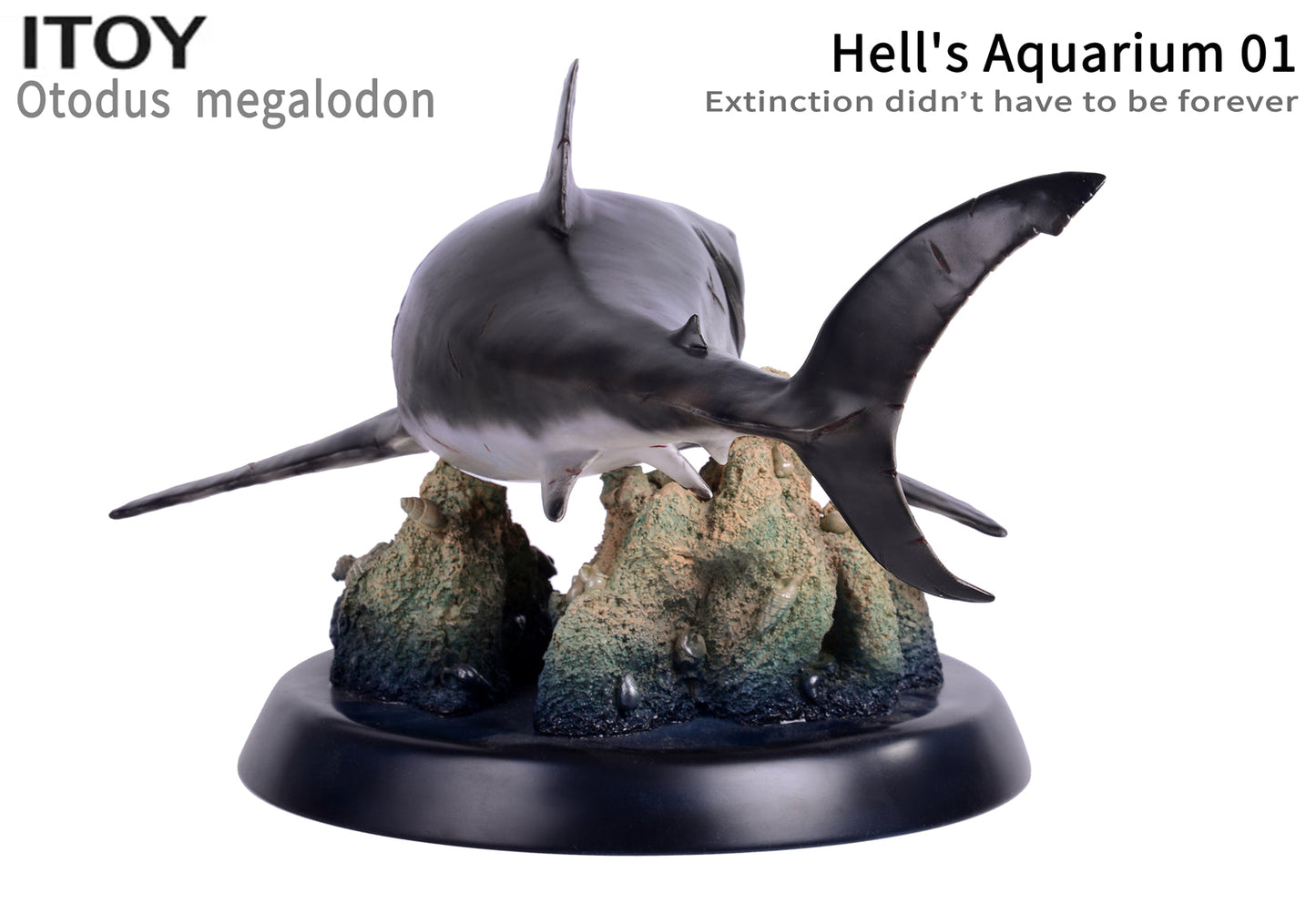 Itoy 1/35 scale otodus megalodon model