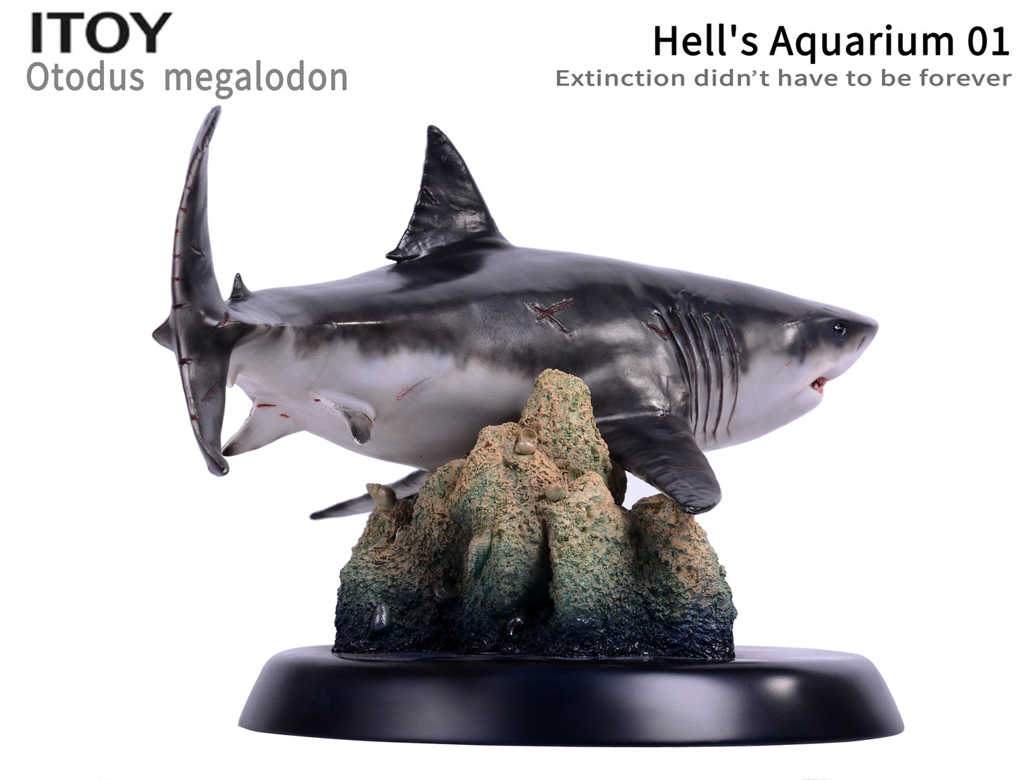 Itoy 1/35 scale otodus megalodon model