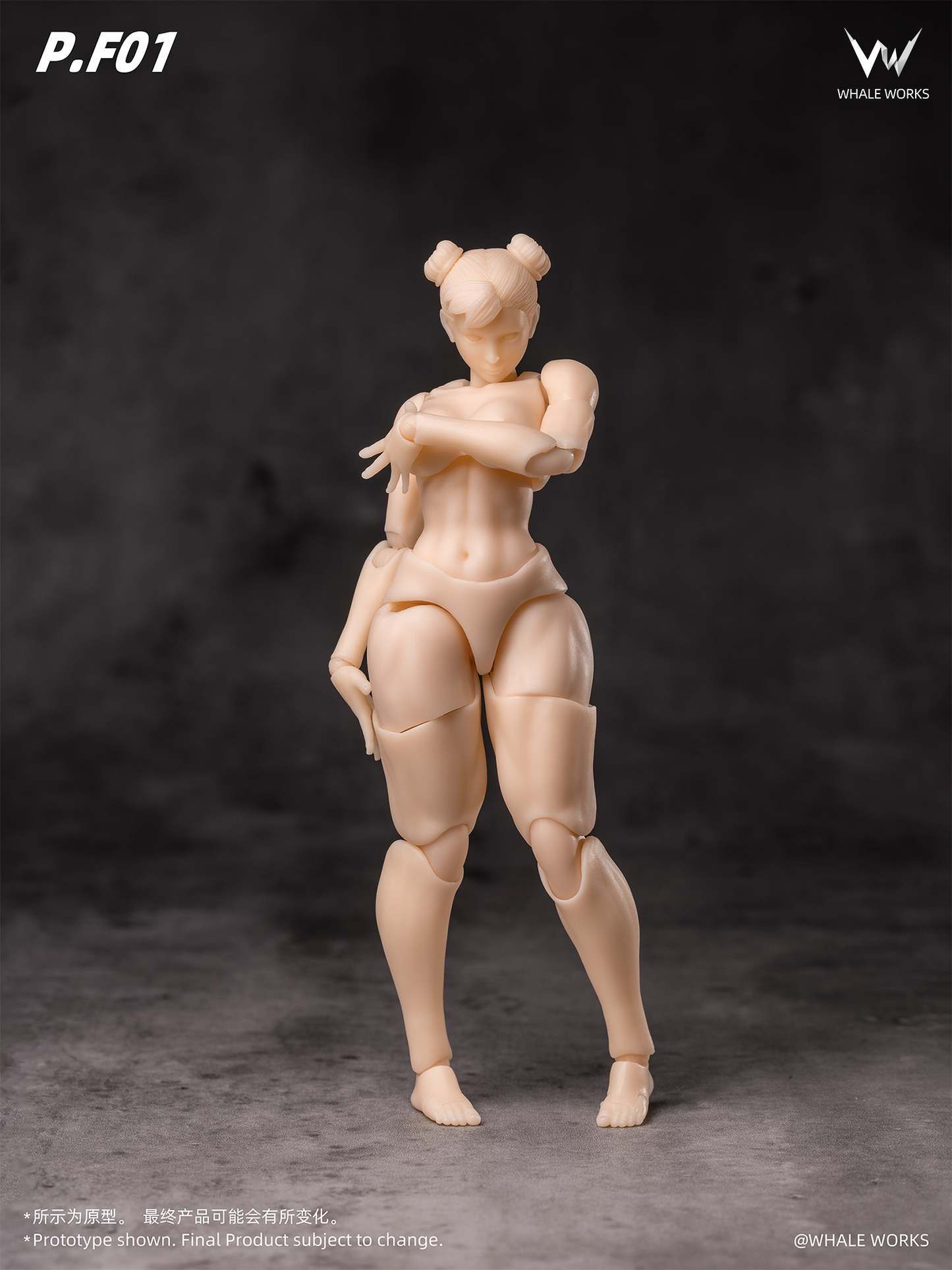 (Pre-order) Whale Works 1/12 Super Articulate figures Aria