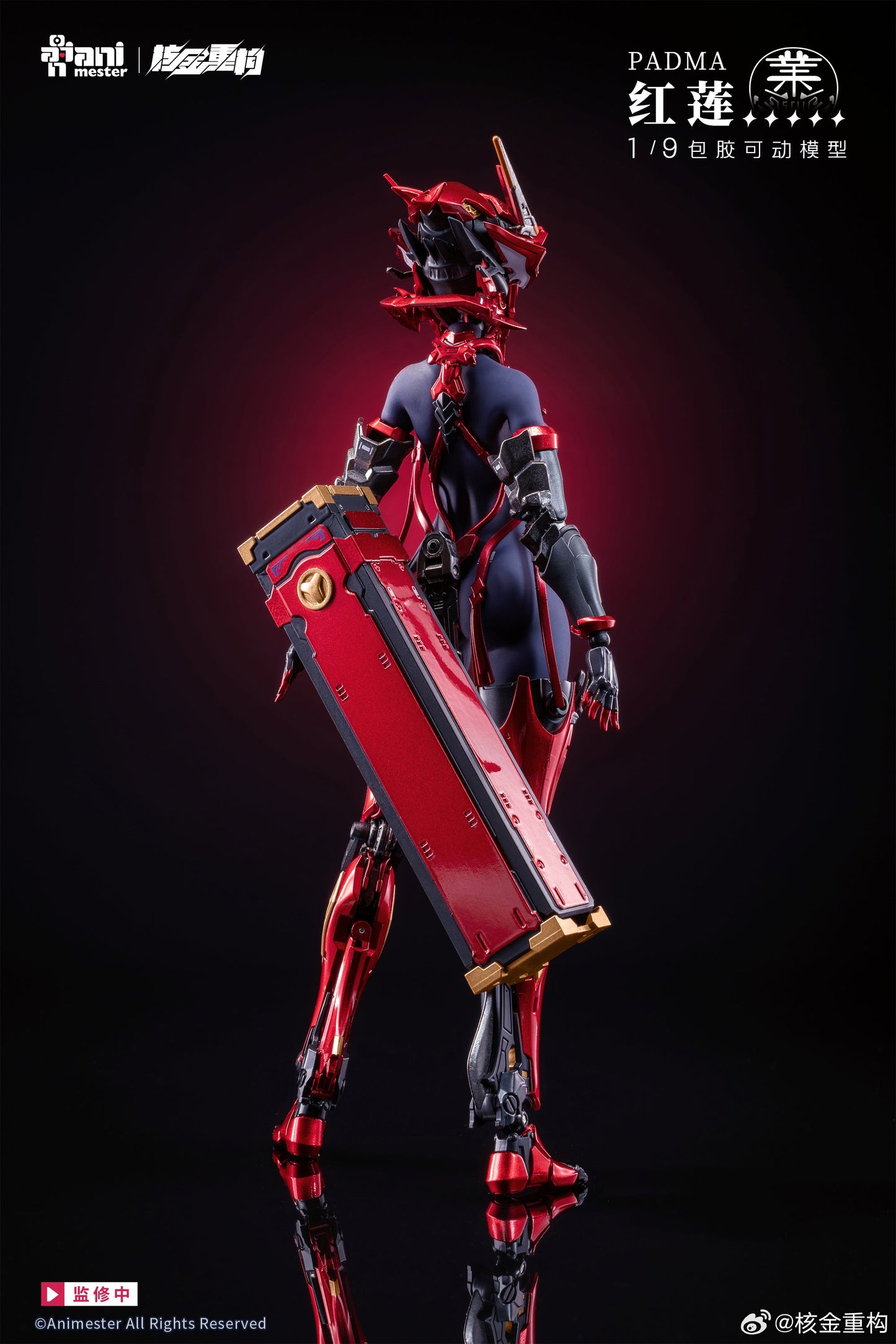 (Pre-order) Animester 1/9 Padma action figure with preorder bonus