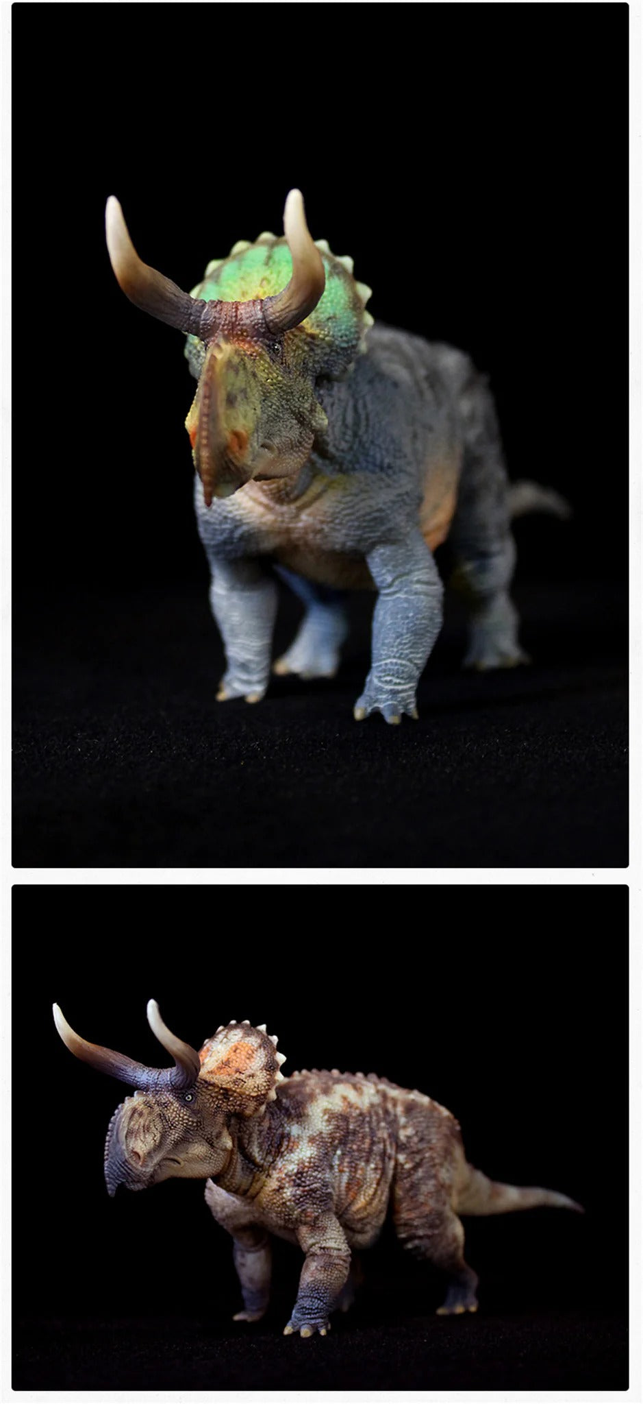 HaoLongGood Nasutoceratops 1/35 Statue