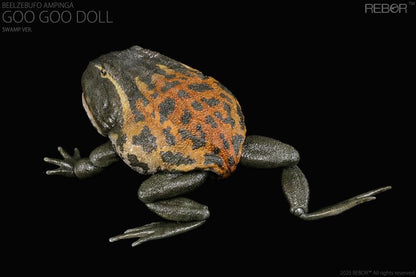 REBOR presents the Beelzebufo ampinga "Goo Goo Doll" Swamp Ver. 1/2 scale replica. At one-half the size of the actual animal, this collectible captures the texture of the Beelzebufo ampinga's skin and the inside of its large mouth. The figure features limited articulation to allow the mouth to open and close, as well as the legs to move to pose the figure in mid-jump.