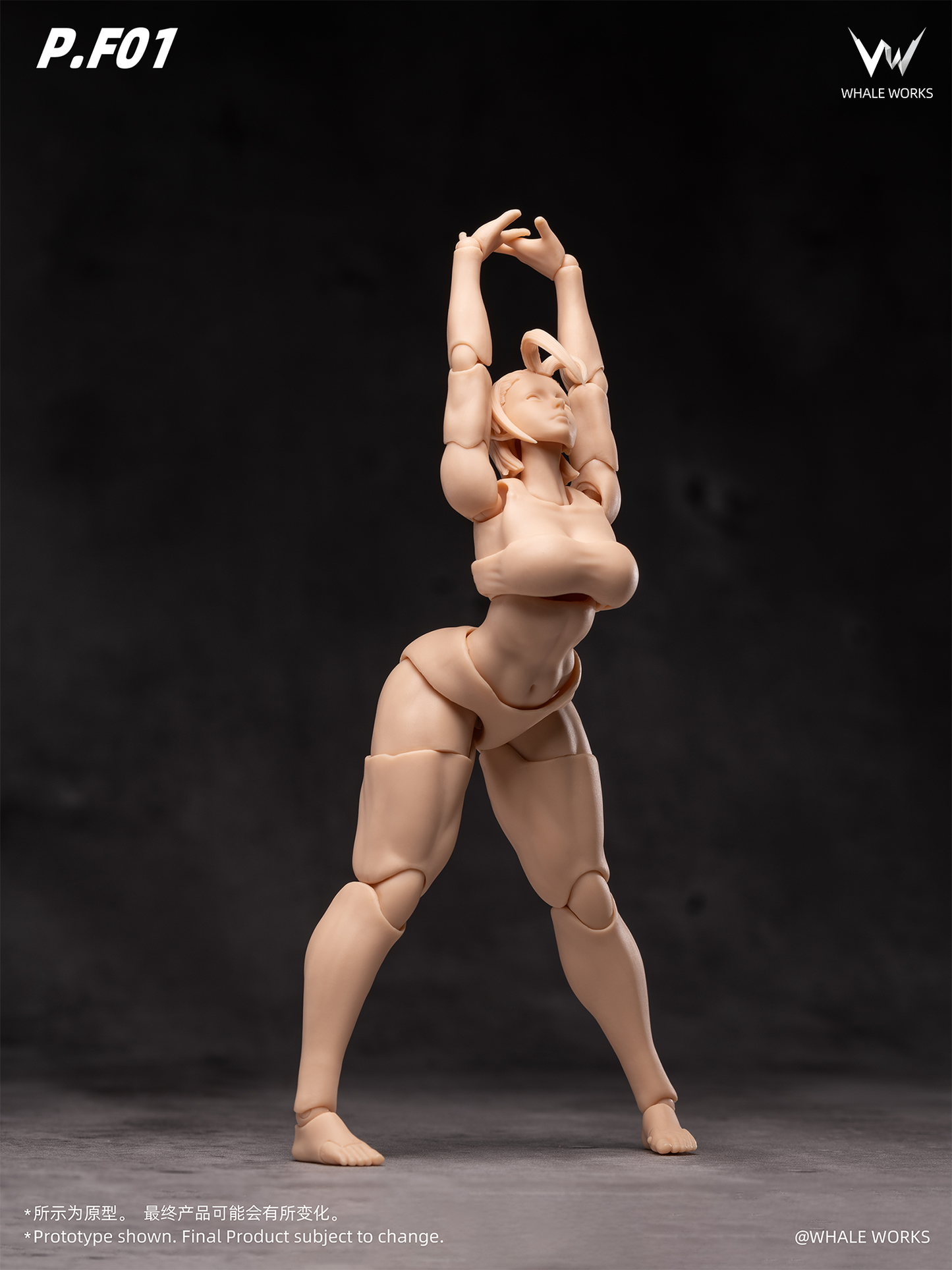 (Pre-order) Whale Works 1/12 Super Articulate figures Rin