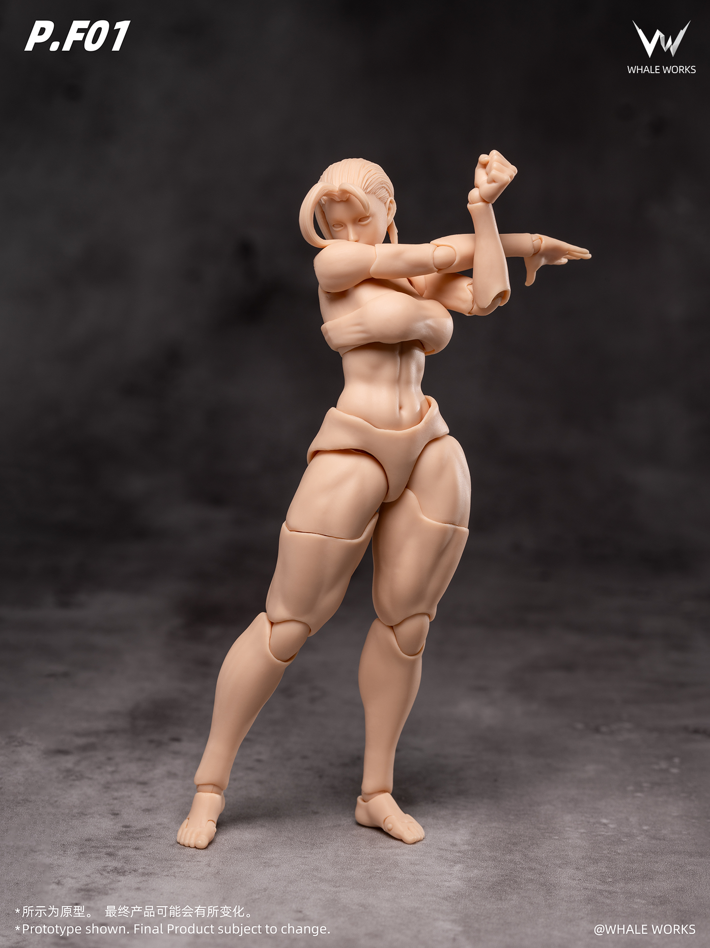 (Pre-order) Whale Works 1/12 Super Articulate figures Rin