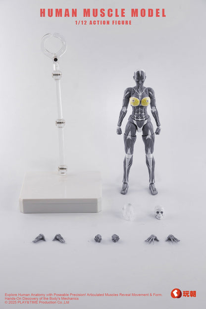 (Preorder) Keepgoing Studio Human Female Muscle Model Red & Gray 1/12 action figure