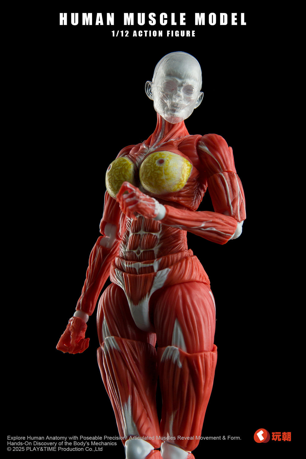(Preorder) Keepgoing Studio Human Female Muscle Model Red & Gray 1/12 action figure