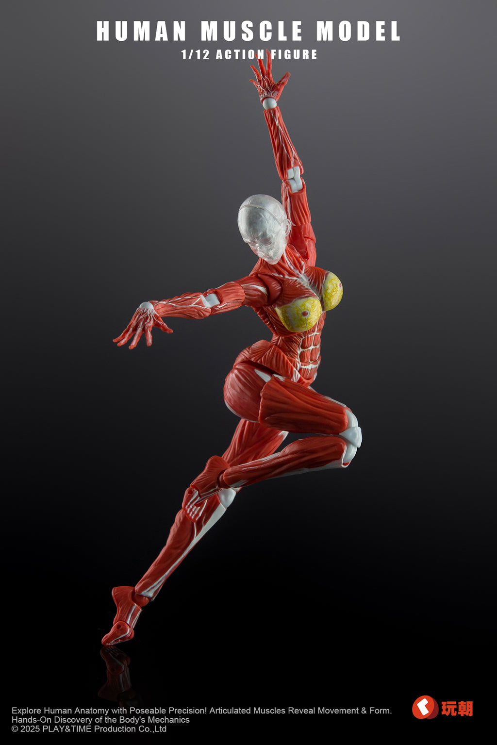 (Preorder) Keepgoing Studio Human Female Muscle Model Red & Gray 1/12 action figure