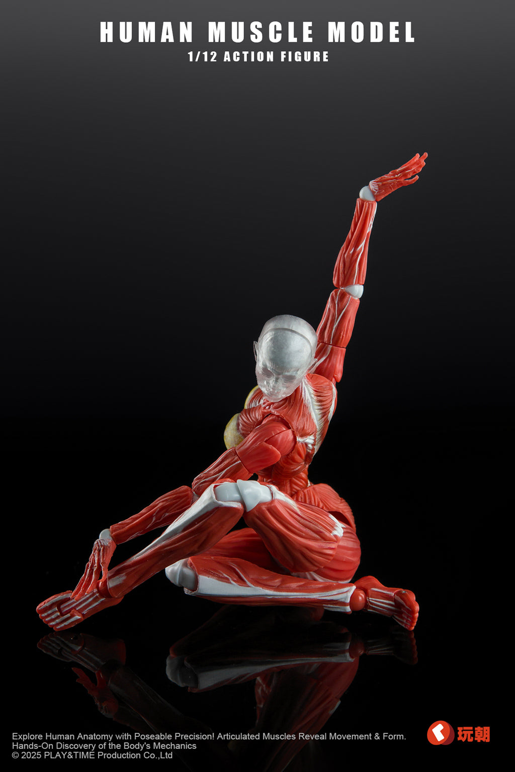 (Preorder) Keepgoing Studio Human Female Muscle Model Red & Gray 1/12 action figure