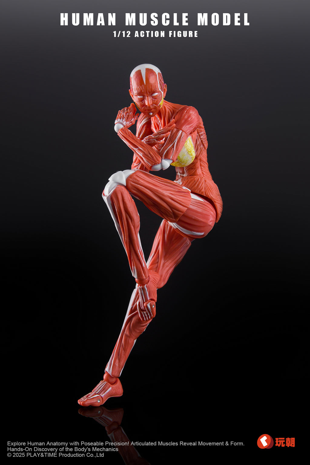 (Preorder) Keepgoing Studio Human Female Muscle Model Red & Gray 1/12 action figure