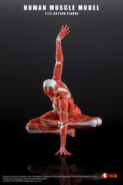 (Preorder) Keepgoing Studio Human Female Muscle Model Red & Gray 1/12 action figure