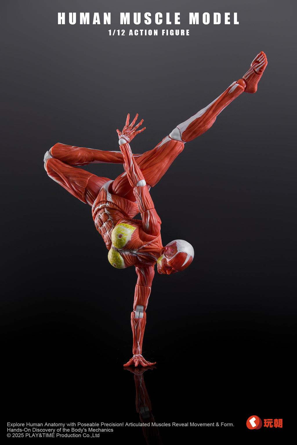 (Preorder) Keepgoing Studio Human Female Muscle Model Red & Gray 1/12 action figure