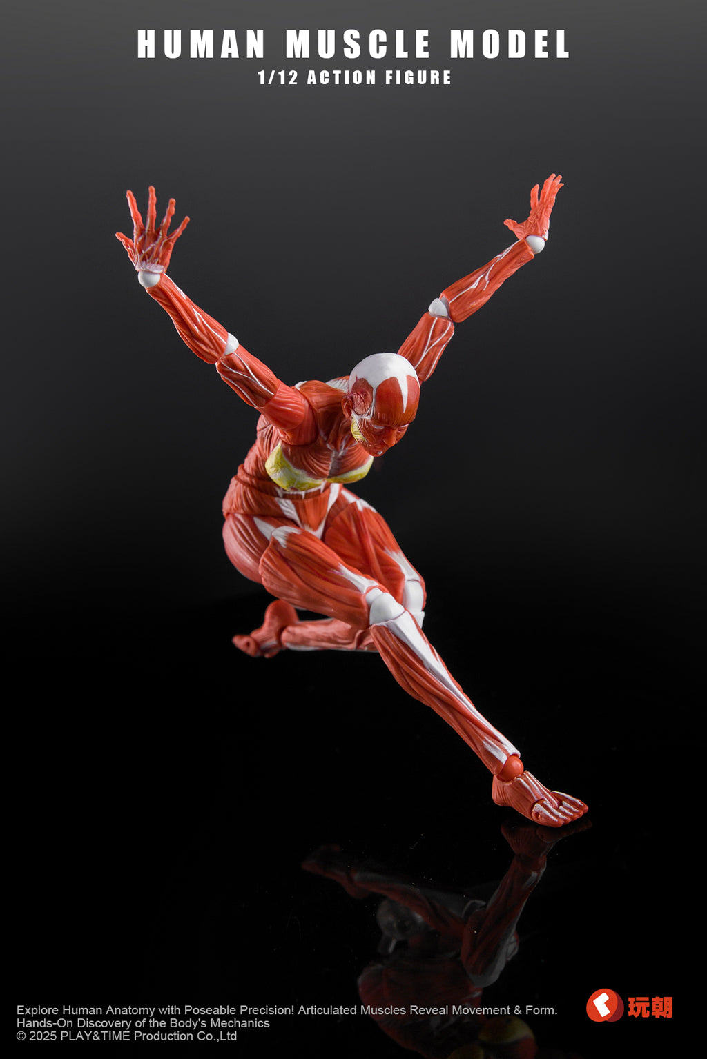 (Preorder) Keepgoing Studio Human Female Muscle Model Red & Gray 1/12 action figure