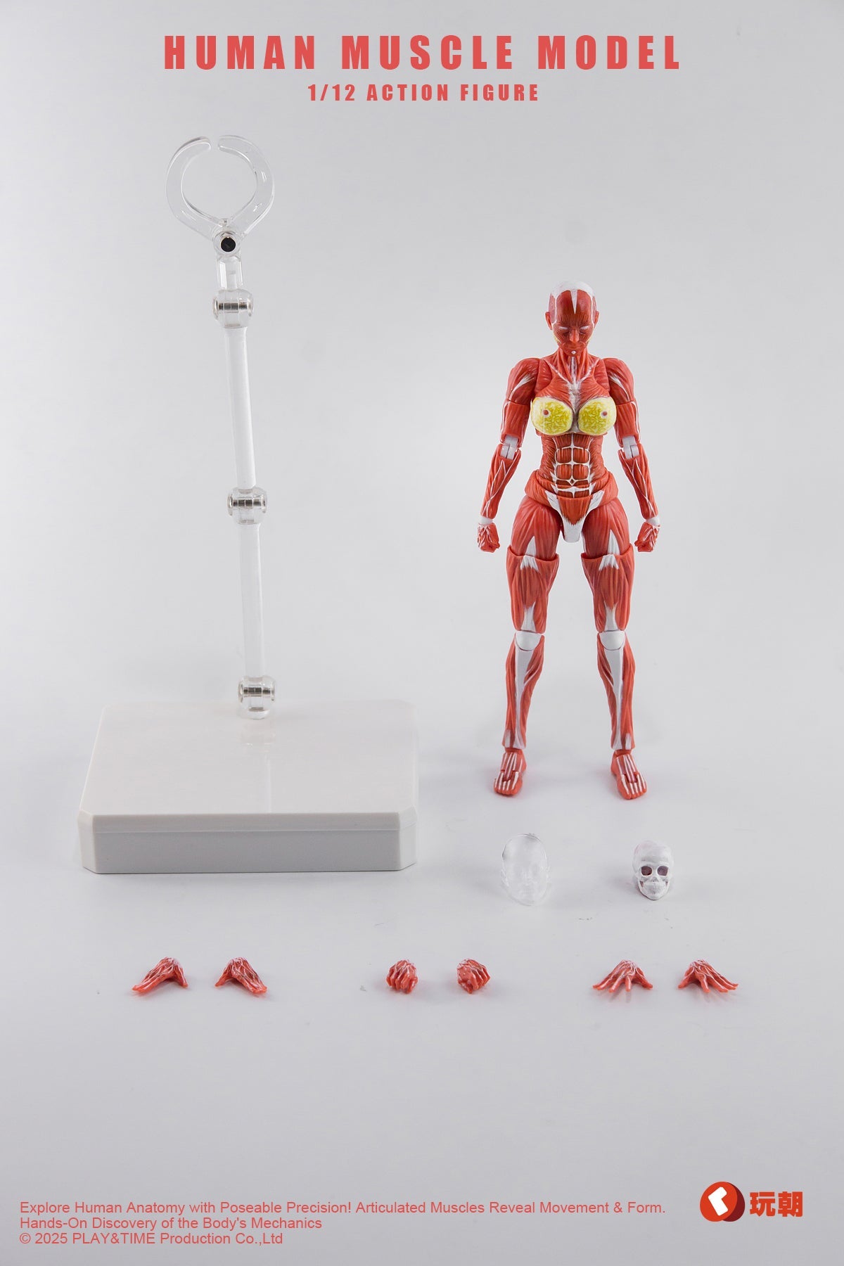(Preorder) Keepgoing Studio Human Female Muscle Model Red & Gray 1/12 action figure