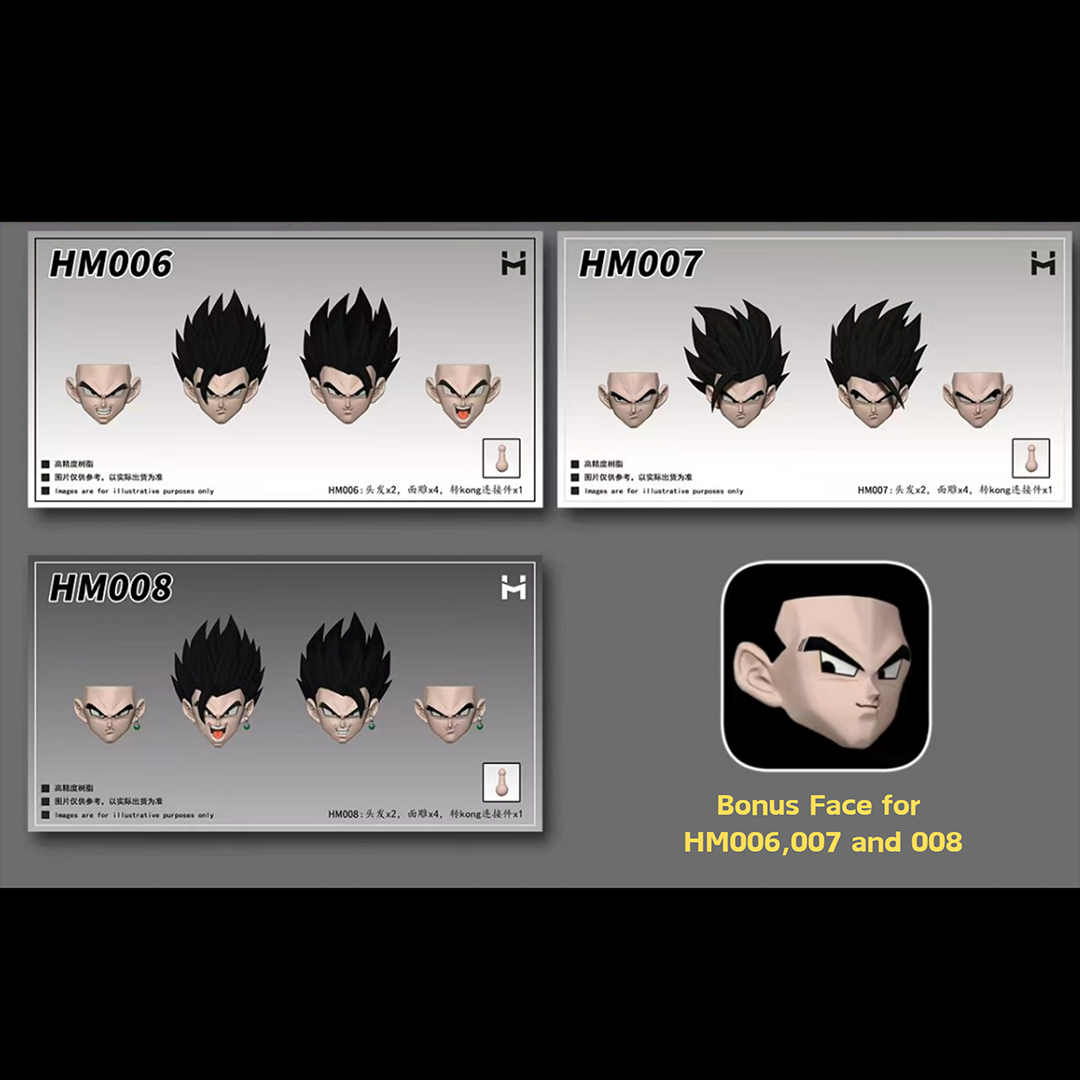 (Pre-order) HM Studio Hairs Faces Kits Combo with bonus