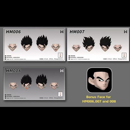 (Pre-order) HM Studio Hairs Faces Kits Combo with bonus