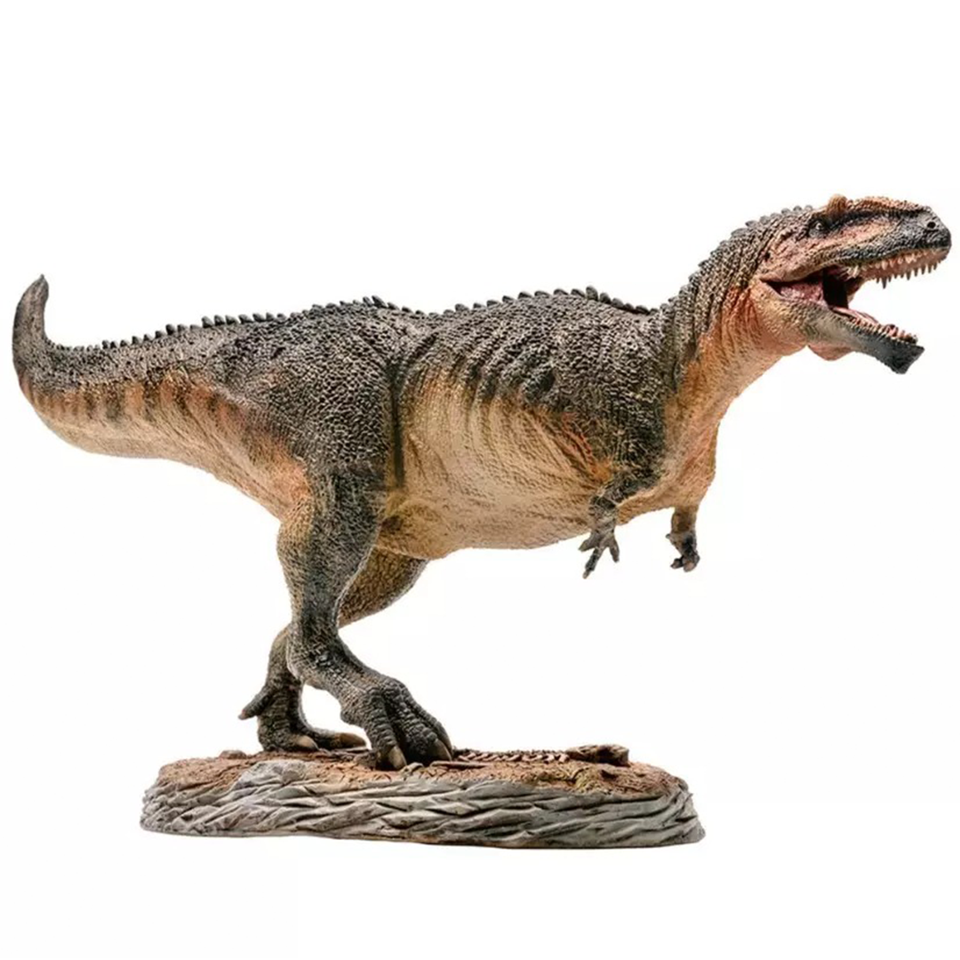PNSO Dinosaurs Museum Lucas the Giganotosaurus 1/35 | Berry Beary