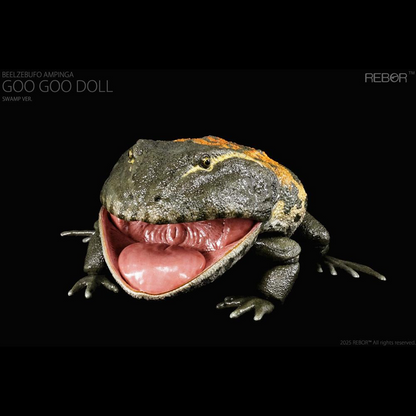 REBOR presents the Beelzebufo ampinga "Goo Goo Doll" Swamp Ver. 1/2 scale replica. At one-half the size of the actual animal, this collectible captures the texture of the Beelzebufo ampinga's skin and the inside of its large mouth. The figure features limited articulation to allow the mouth to open and close, as well as the legs to move to pose the figure in mid-jump.