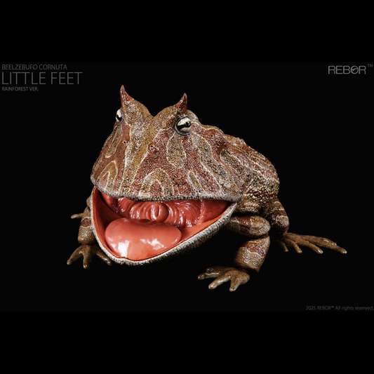 REBOR presents the Beelzebufo cornuta "Little Feet" Rainforest Ver. 1/2 scale replica. At one-half the size of the actual animal, this collectible captures the texture of the Beelzebufo cornuta's skin and the inside of its large mouth. The figure features limited articulation to allow the mouth to open and close, as well as the legs to move to pose the figure in mid-jump.