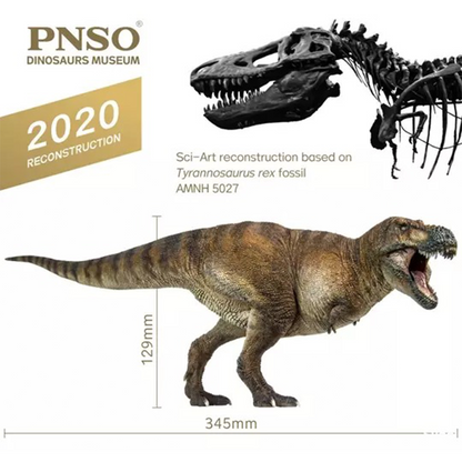 PNSO’s Dinosaurs Museum Wilson The Tyrannosaurus Rex 009 is a 1:35 Scale Scientific Art Model from Yiniao Sci-Art. Made from solid PVC. Sci-Art reconstruction based on Tyrannosaurus rex fossil AMNH5027
