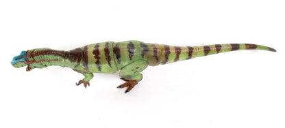One of Creative Beast Studio’s biggest claims to fame is their Beasts of the Mesozoic figure collection. The Mesozoic Era comprises the Triassic, Jurassic, and Cretaceous periods of geological time, and the creature figures featured in the series include dinosaurs that lived during that time.

Figure measures 10 inches (25.4cm) long and features 22 points of articulation, 3 sets of interchangeable feet, posing wire in the tail end, and an adjustable clear plastic display base with rubber pad.