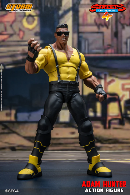 Adam Hunter makes his debut in 1991's Streets of Rage as one of the three cops who quit the city's corrupt police force, in order to personally hunt down the syndicate leader themselves. Along with Axel Stone and Blaze Fielding, he manages to defeat the syndicate leader Mr. X in his own headquarters. Adam uses a form of boxing with a large amount of kicks added into his move-set, more closely resembling kickboxing than actual traditional boxing.