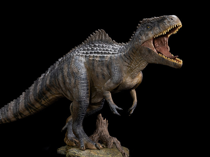 From Nanmu Studio, the Jurassic Series Giganotosaurus Behemoth is a must have for any dinosaur enthusiast. This realistically sculpted Giganotosaurus The King of the Border is in 1/35 scale and features an exquisite painted finish.