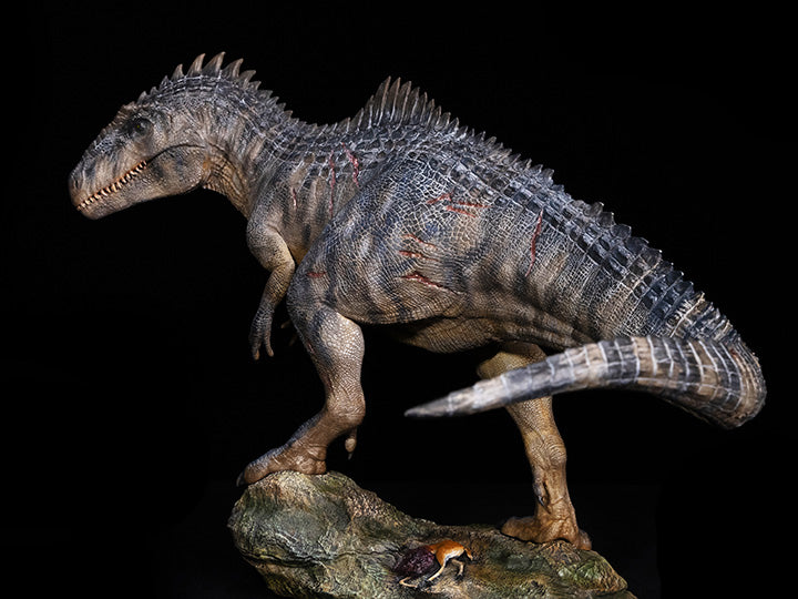 From Nanmu Studio, the Soul of a Dragon series Giganotosaurus King of the Border is a must have for any dinosaur enthusiast. This realistically sculpted Giganotosaurus Gustave is in 1/35 scale and features an exquisite painted finish.