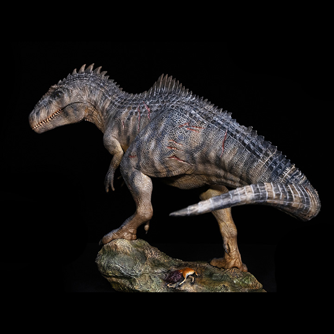 From Nanmu Studio, the Soul of a Dragon series Giganotosaurus King of the Border is a must have for any dinosaur enthusiast. This realistically sculpted Giganotosaurus Gustave is in 1/35 scale and features an exquisite painted finish.